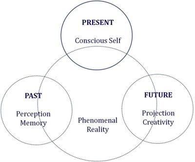Consciousness Beyond Neural Fields: Expanding the Possibilities of What Has Not Yet Happened